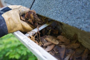 Gutter Cleaning in Minnetonka, MN by Wren Windows Gutter Cleaning in Minnetonka, MN by Wren Windows