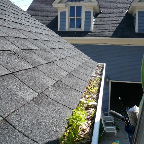 Gutter Cleaning in Minneapolis-St.Paul, MN by Wren Windows