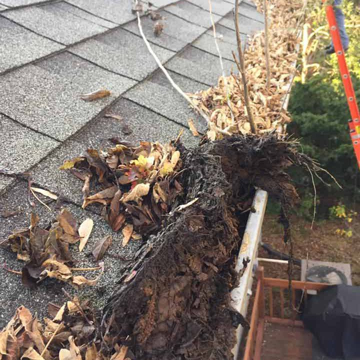 gutter-cleaning-minnesota